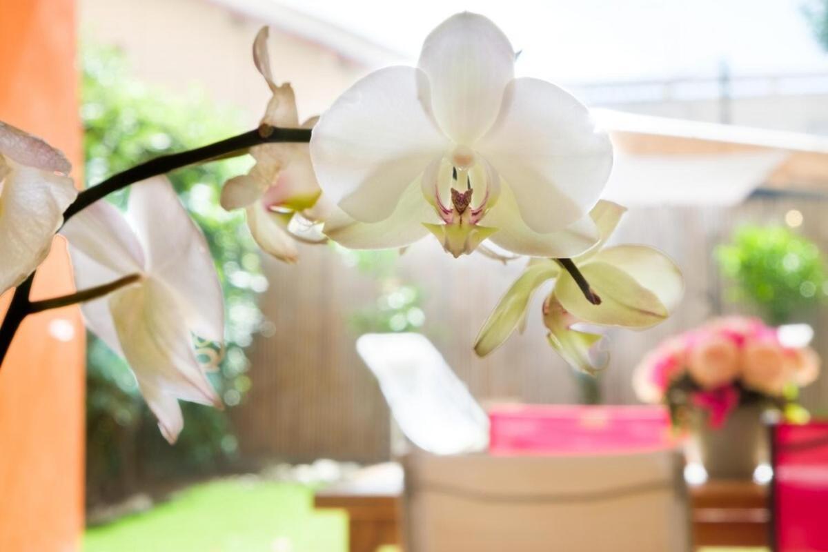 Apartament Le Riviera ~ Jardin ~ Parking ~ Climatisation Cagnes-sur-Mer Zewnętrze zdjęcie